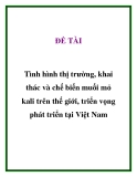 ĐỀ TÀI "  Tình hình thị trường, khai thác và chế biến muối mỏ kali trên thế giới, triển vọng phát triển tại Việt Nam "