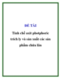 ĐỀ TÀI " Tinh chế axit photphoric trích ly và sản xuất các sản phẩm chứa lân "