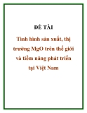 ĐỀ TÀI "  Tình hình sản xuất, thị trường MgO trên thế giới và tiềm năng phát triển tại Việt Nam"