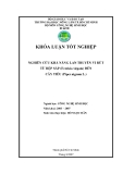 NGHIÊN CỨU KHẢ NĂNG LAN TRUYỀN VI RÚT TỪ RỆP SÁP (Ferrisia virgata) ĐẾN CÂY TIÊU (Piper nigrum L.)