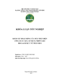 KHẢO SÁT HOẠT ĐỘNG CỦA MÁY PHÁT ĐIỆN CÔNG SUẤT 2 KVA SỬ DỤNG NHIÊN LIỆU BIOGAS ĐƢỢC Ủ TỪ PHÂN HEO