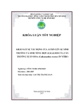 KHẢO SÁT SỰ TÁC ĐỘNG CỦA AUXIN LÊN SỰ SINH TRƢỞNG VÀ SINH TỔNG HỢP ALKALOID CỦA CÂY TRƢỜNG XUÂN HOA (Catharanthus roseus) IN VITRO