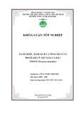 TÁCH CHIẾT, TINH SẠCH VÀ TÍNH CHẤT CỦA PROTEASE TỪ NỘI TẠNG VÀ ĐẦU TÔM SÚ (Penaeus monodon)