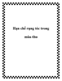 Hạn chế rụng tóc trong mùa thu