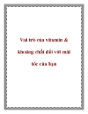 Vitamin & khoáng chất đối với mái tóc của bạn