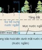 Sự khác biệt các thành phần ion trong bể nước nhân tạo