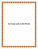 Kỹ thuật nuôi cá Rô Phi đỏ
