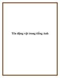 Tên động vật trong tiếng Anh
