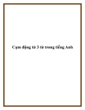 Cụm động từ 3 từ trong tiếng Anh