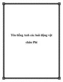 Tên tiếng Anh các loài động vật châu Phi