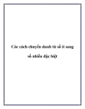 Tài liệu về Các cách chuyển danh từ số ít sang số nhiều đặc biệt