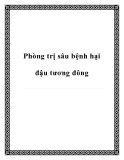 Phòng trị sâu bệnh hại đậu tương đông