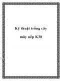 Các kỹ thuật trồng cây mây nếp K38