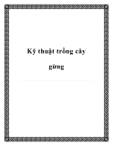 Các kỹ thuật trồng cây gừng