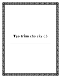 Tạo trầm cho cây dó