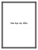 Sâu hại cây điều