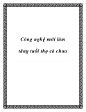 Công nghệ mới làm tăng tuổi thọ cà chua