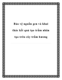 Bảo vệ nguồn gen và khai thác kết quả tạo trầm nhân tạo trên cây trầm hương