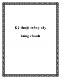 Kỹ thuật trồng cây húng chanh