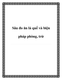 Sâu đo ăn lá quế và biện pháp phòng, trừ