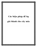 Các biện pháp để hạ giá thành cho cây mía