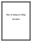 Bảo vệ măng tre bằng túi nilon