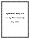 Nghiên cứu dùng chất dẫn dụ Pheromone diệt sùng khoai