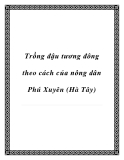 Trồng đậu tương đông theo cách của nông dân Phú Xuyên (Hà Tây)