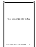 Giáo trình nhập môn tin học - Vương Quốc Dũng