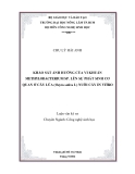 KHẢO SÁT ẢNH HƯỞNG CỦA VI KHUẨN METHYLOBACTERIUM SP. LÊN SỰ PHÁT SINH CƠ QUAN Ở CÂY LÚA (Ozyra sativa L) NUÔI CẤY IN VITRO