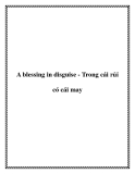 A blessing in disguise - Trong cái rủi có cái may