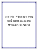 Con Trâu - Vật cúng tế trong các lễ hội lớn của dân tộc M’nông ở Tây Nguyên