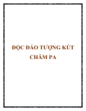 ĐỘC ĐÁO TƯỢNG KÚT CHĂM PA