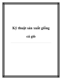 Kỹ thuật sản xuất giống cá giò