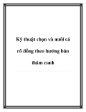 Kỹ thuật chọn và nuôi cá rô đồng theo hướng bán thâm canh