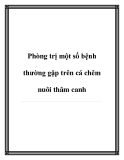 Phòng trị một số bệnh thường gặp trên cá chẽm nuôi thâm canh