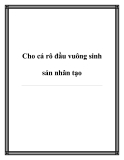 Cho cá rô đầu vuông sinh sản nhân tạo