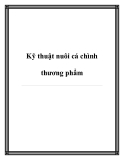 Các kỹ thuật nuôi cá chình thương phẩm