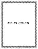Bảo tàng Cách Mạng
