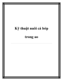 Kỹ thuật nuôi cá bớp trong ao
