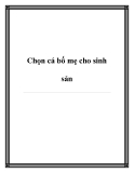 Chọn cá bố mẹ cho sinh sản