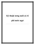 Kỹ thuật ương nuôi cá rô phi nước ngọt