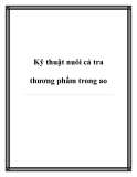 Kỹ thuật nuôi cá tra thương phẩm trong ao