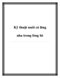 Kỹ thuật nuôi cá lăng nha trong lòng bè