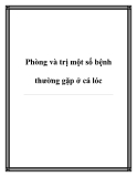 Phòng và trị một số bệnh thường gặp ở cá lóc