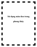 Sử dụng màu đen trong phong thủy