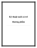 Kỹ thuật nuôi cá trê thương phẩm