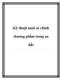 Kỹ thuật nuôi cá chình thương phẩm trong ao đất