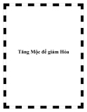 Tăng Mộc để giảm Hỏa