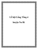 Lễ hội Lồng Tồng ở huyện Na Rì